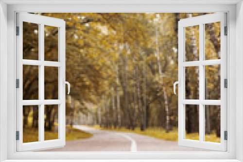 Fototapeta Naklejka Na Ścianę Okno 3D - road in autumn forest, blurred background