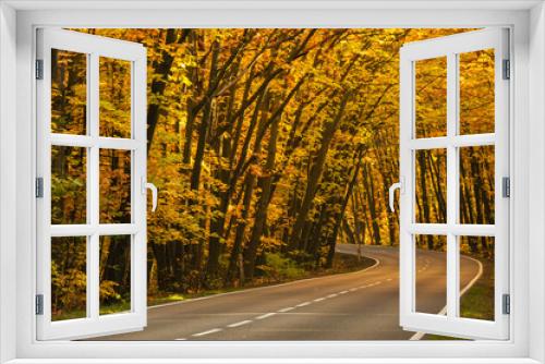 Fototapeta Naklejka Na Ścianę Okno 3D - Asfaltowa droga w jesiennym lesie. Rosnące po obu stronach drogi drzewa przechylone są w jej stroną tworząc malowniczy tunel. Pomiędzy drzewami przebijają się promienie słoneczne.