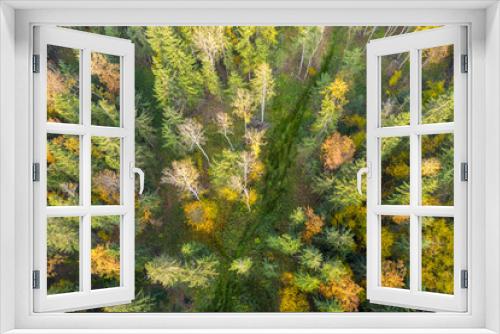 Fototapeta Naklejka Na Ścianę Okno 3D - Aerial drone view over autumn forest.