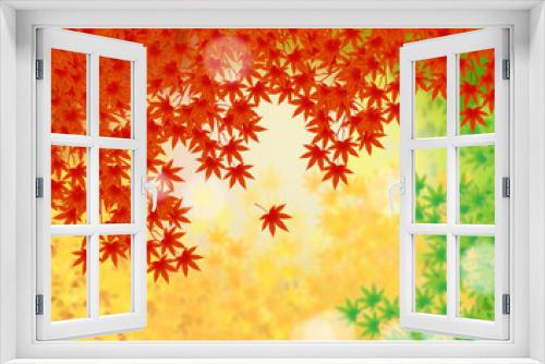 Fototapeta Naklejka Na Ścianę Okno 3D - 日本の秋のモミジ。青モミジ赤もみじ黄葉