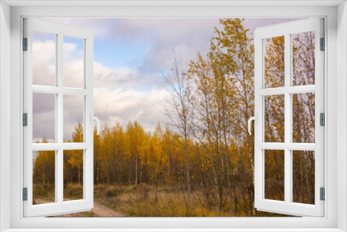 Landscape with a northern swamp in late autumn.