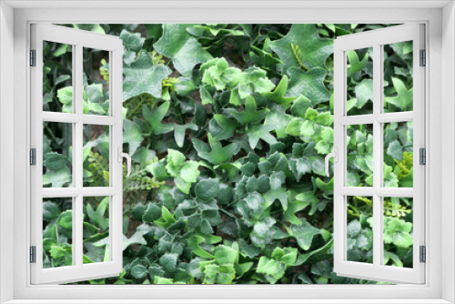 Fototapeta Naklejka Na Ścianę Okno 3D - Full frame imitation plastic foliage background showing ivy leaf detail