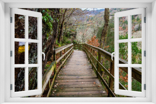 Fototapeta Naklejka Na Ścianę Okno 3D - Footbridge in atlantic forest