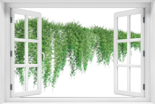 Fototapeta Naklejka Na Ścianę Okno 3D - Climbing plants creepers isolated on white background 3d illustration