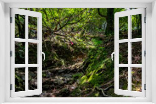 Fototapeta Naklejka Na Ścianę Okno 3D - stream in the woods
