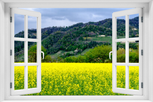 Fototapeta Naklejka Na Ścianę Okno 3D - Paesaggio agricolo