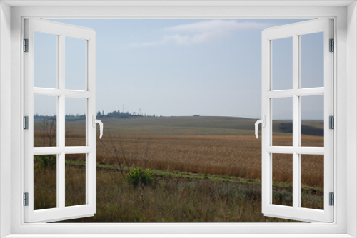 Fototapeta Naklejka Na Ścianę Okno 3D - field of wheat and sky