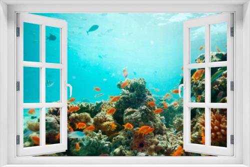 Fototapeta Naklejka Na Ścianę Okno 3D - lagoon