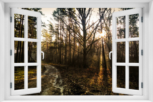 Fototapeta Naklejka Na Ścianę Okno 3D - jesień rano