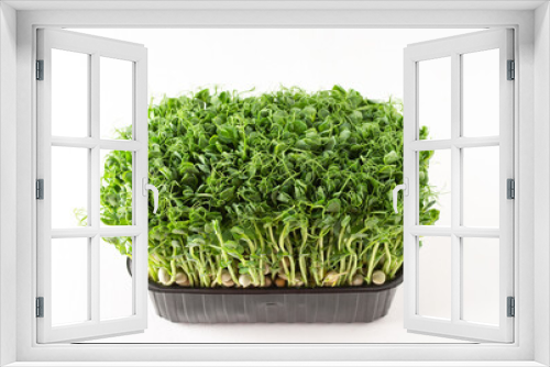 Fototapeta Naklejka Na Ścianę Okno 3D - Sprouted pea sprouts in a plastic box on a white background, organic healthy microgreens