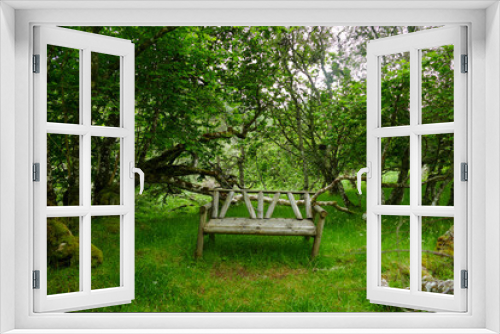 Fototapeta Naklejka Na Ścianę Okno 3D - wooden bench in the park
