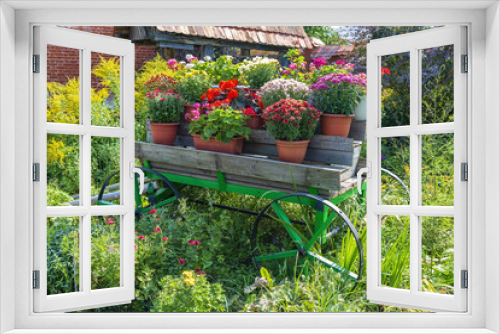 Fototapeta Naklejka Na Ścianę Okno 3D - The idea of decorating a beautiful summer flower bed with multi-colored blooming flowers in a garden or courtyard