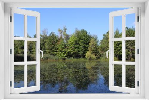 Fototapeta Naklejka Na Ścianę Okno 3D - Reflection of trees on a lake in summer