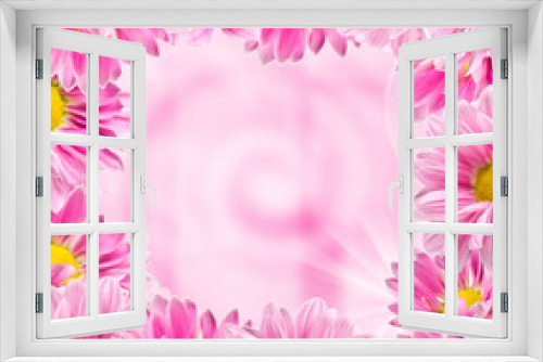 Fototapeta Naklejka Na Ścianę Okno 3D - Framed color pink chrysanthemums