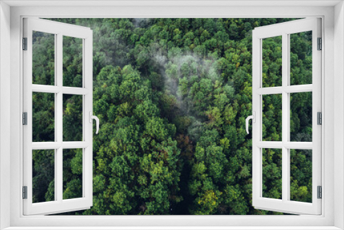 Fototapeta Naklejka Na Ścianę Okno 3D - Pine forest in the mountains in the morning from above
