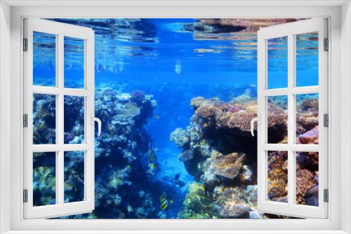 Fototapeta Naklejka Na Ścianę Okno 3D - Underwater view of the coral reef. Life in the ocean. School of fish. Coral reef and tropical fish in the Red Sea, Egypt. world ocean wildlife landscape.