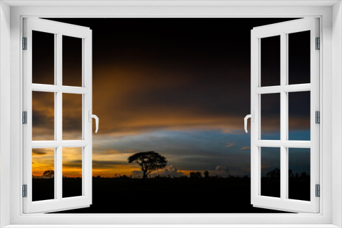 Fototapeta Naklejka Na Ścianę Okno 3D - Panorama silhouette tree in asia with sunset.Tree silhouetted against a setting sun.Dark tree on open field dramatic sunrise.Typical asian sunset with dark background  in Thailand.