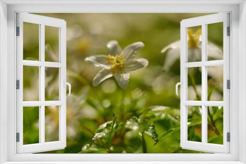 Fototapeta Naklejka Na Ścianę Okno 3D - bokeh