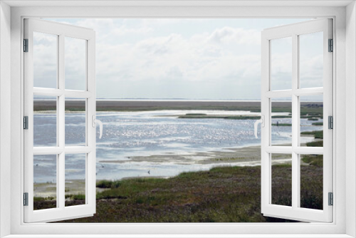 Fototapeta Naklejka Na Ścianę Okno 3D - Landscape of the Wadden Sea