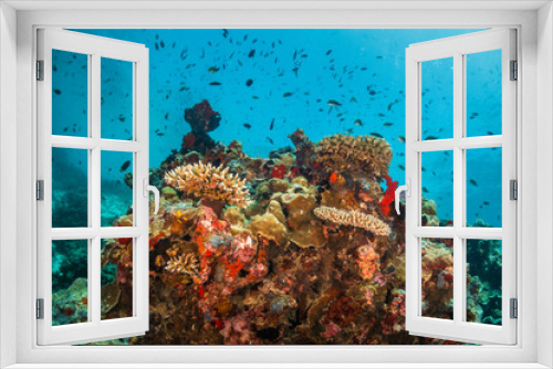 Fototapeta Naklejka Na Ścianę Okno 3D - Colorful coral reef ecosystem, surrounded by tropical fish in clear blue water