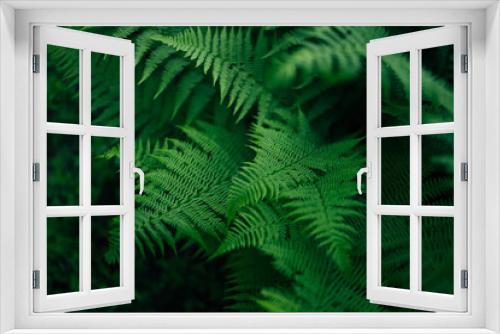 Fototapeta Naklejka Na Ścianę Okno 3D - Perfect natural pattern green fern plants background.