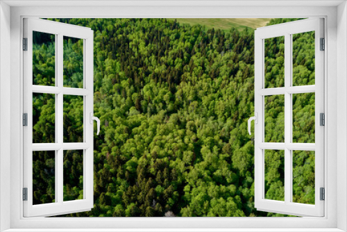 Fototapeta Naklejka Na Ścianę Okno 3D - Landscape with a view of a mixed forest from a great height, flying over the forest expanses