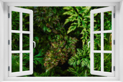Fototapeta Naklejka Na Ścianę Okno 3D - Abstract green leaves texture. Top view. Nature background.