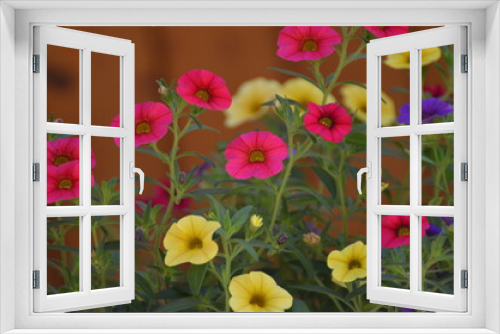 Fototapeta Naklejka Na Ścianę Okno 3D - Blumen Mix