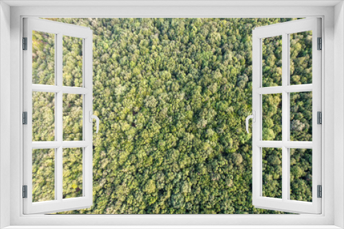 Fototapeta Naklejka Na Ścianę Okno 3D - Beautiful view of the forest of Toscana Italy from above photographed with a drone. Drone photography, Tuscany, Siena region 