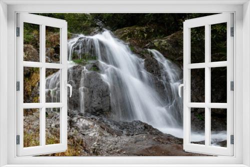 Fototapeta Naklejka Na Ścianę Okno 3D - There are small waterfalls in the primeval forest. The water is very clear