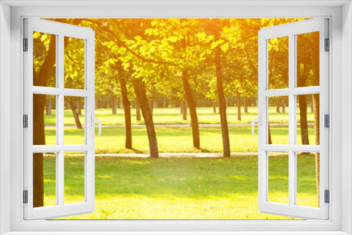 Fototapeta Naklejka Na Ścianę Okno 3D - picnic background,sunlight in green park with green trees,summer outside backdrop,sunny meadow in spring
