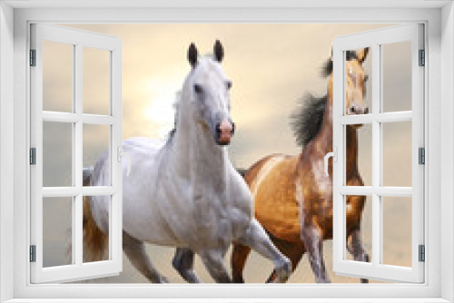 Fototapeta Naklejka Na Ścianę Okno 3D - horses in dust