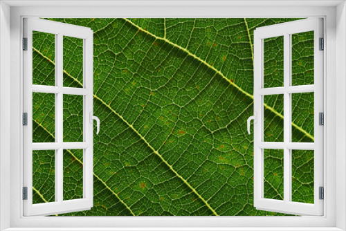 Fototapeta Naklejka Na Ścianę Okno 3D - Background of close-up the leaf pattern