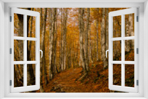 Fototapeta Naklejka Na Ścianę Okno 3D - autumn trees in the forest 
