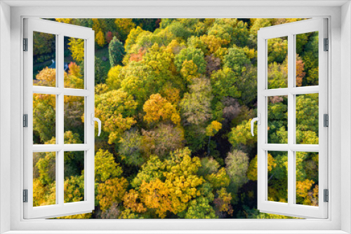 Fototapeta Naklejka Na Ścianę Okno 3D - View vertically down on autumnal discolored deciduous trees in the Taunus / Germany 