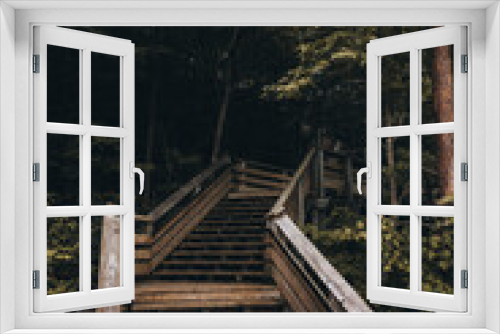 Fototapeta Naklejka Na Ścianę Okno 3D - stairs into jungle