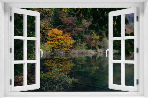 Fototapeta Naklejka Na Ścianę Okno 3D - Reflection of trees with autumn leaves on the lake
