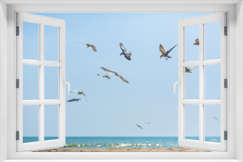 Fototapeta Naklejka Na Ścianę Okno 3D - A flock of seagulls circling in the sky near the sea coast