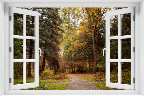 Fototapeta Naklejka Na Ścianę Okno 3D - Golden autumn in city park, seasonal landscape, beautiful nature, Time for romantic walking. Tree alley in fall background