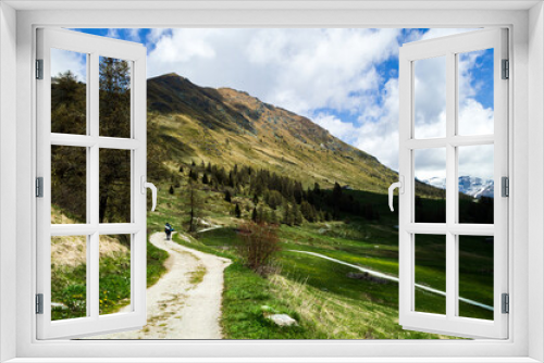 Fototapeta Naklejka Na Ścianę Okno 3D - Mountain hiking path along a creek the Ru Curtod in the italian Alps in Valle d'Aosta near Monte Rosa