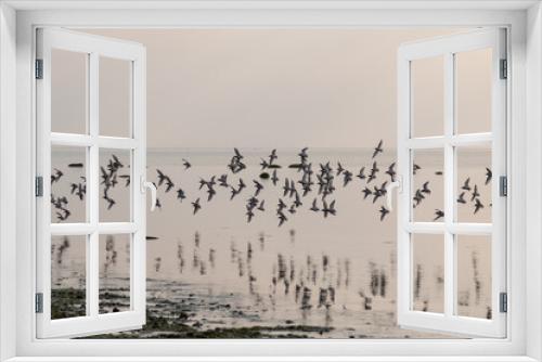 Fototapeta Naklejka Na Ścianę Okno 3D - Low flying birds above the sea.