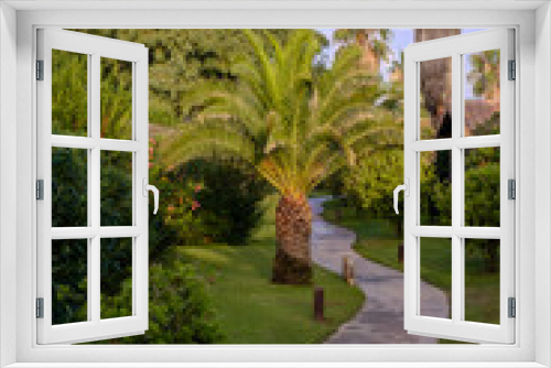 Fototapeta Naklejka Na Ścianę Okno 3D - Walkway path on a tropical resort landscape with green palm trees on a blue sky