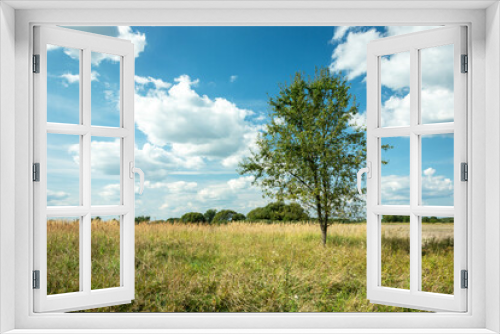 Fototapeta Naklejka Na Ścianę Okno 3D - Tree on the meadow and white clouds against the blue sky