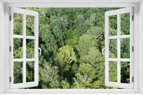 Fototapeta Naklejka Na Ścianę Okno 3D - Beautiful dense forest, top view. The tops of a variety of trees.