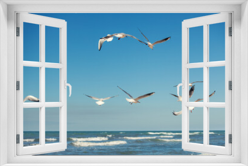 Fototapeta Naklejka Na Ścianę Okno 3D - Seagulls fly over the sea against the blue sky