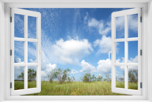 Fototapeta Naklejka Na Ścianę Okno 3D - Beautiful sky, field with high grass