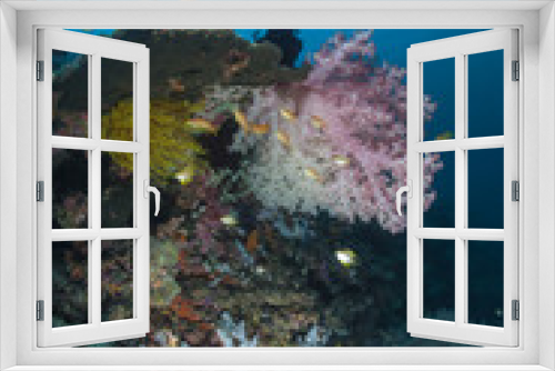 Fototapeta Naklejka Na Ścianę Okno 3D - reef system