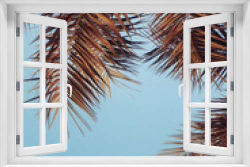 Fototapeta Naklejka Na Ścianę Okno 3D - tropical palm tree against the sunset sky. vintage burnt-out style. postcard