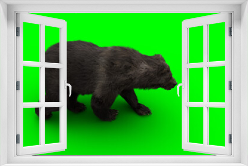 Fototapeta Naklejka Na Ścianę Okno 3D - Walking bear. Green screen isolate. 3d rendering.