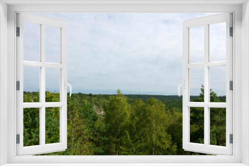 Fototapeta Naklejka Na Ścianę Okno 3D - forêt de Fontainebleau